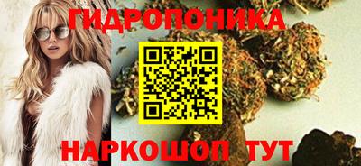 бошки Сланцы