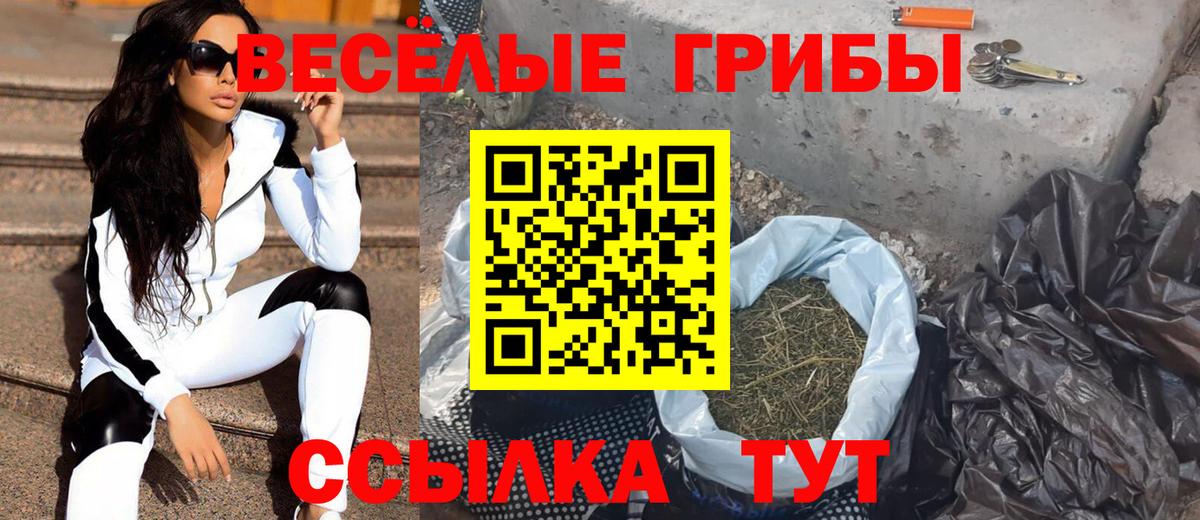 Галлюциногенные грибы мицелий Ртищево